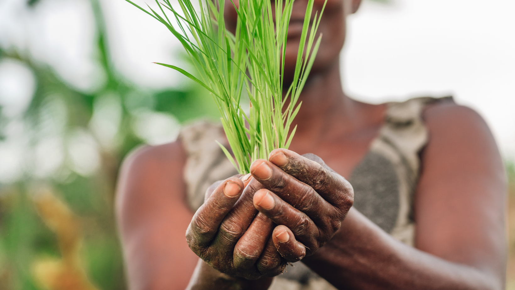 Agnes Kalibata - Food, Agriculture and Human Flourishing - Stories Of Impact Podcast