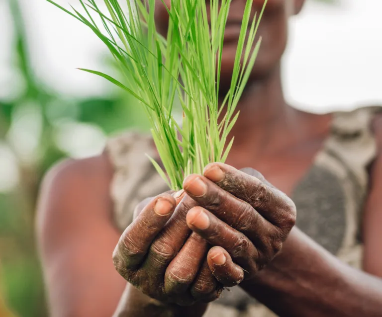 Stories20of20 Impact20 Podcast20 20 Agnes20 Kalibata