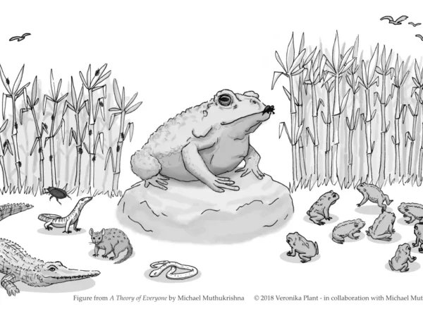 Veronika20 Plant20illustration20 20 Sugarcane20 Toads