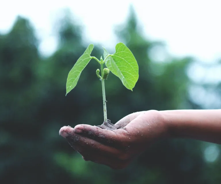 Climate20and20 Human20 Flourishing20 Podcast20with20 Mary20 Robinson