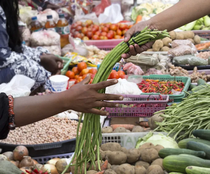 Economics flourishing