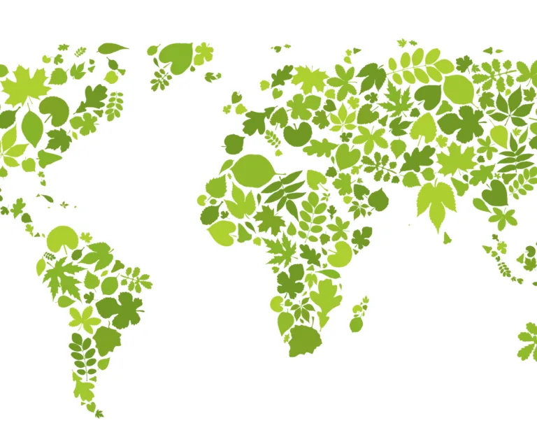 Leaves20world20map