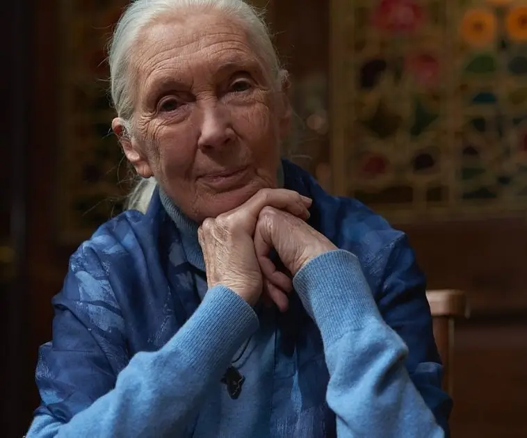 Jane Goodall
