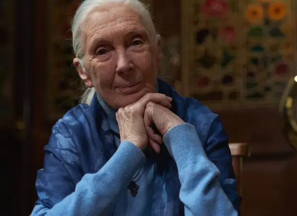 Jane Goodall