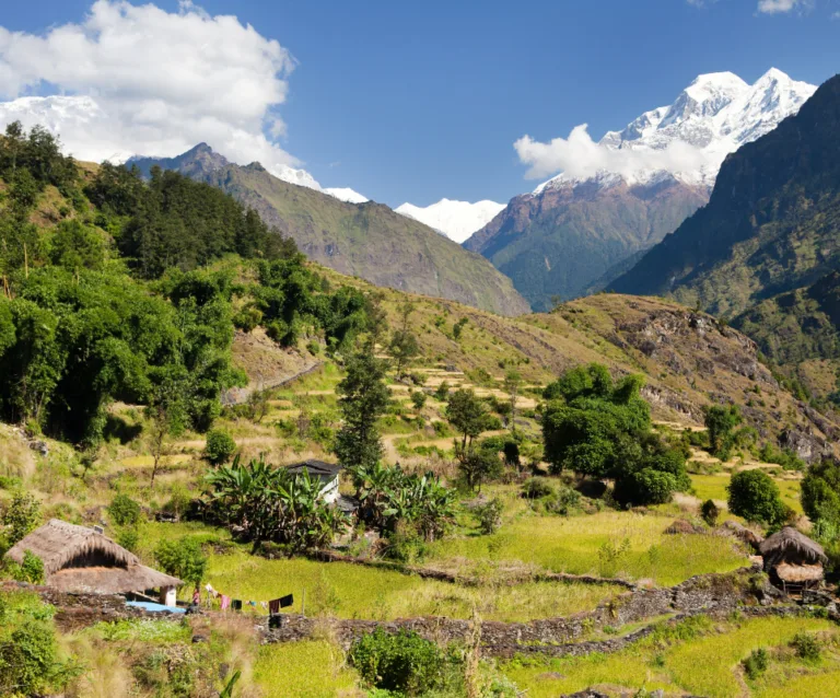 The20 Land20is20 The20 Problem20 20 How20 Land20 Use20 Policy20 Prevents20 Economic20 Mobility20 Among20 Nepalese20 Farmers