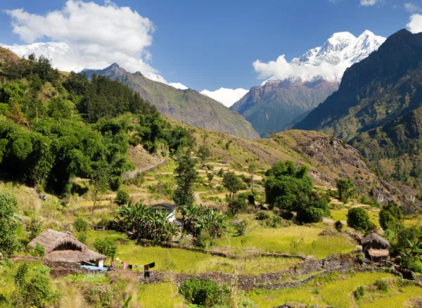 The20 Land20is20 The20 Problem20 20 How20 Land20 Use20 Policy20 Prevents20 Economic20 Mobility20 Among20 Nepalese20 Farmers