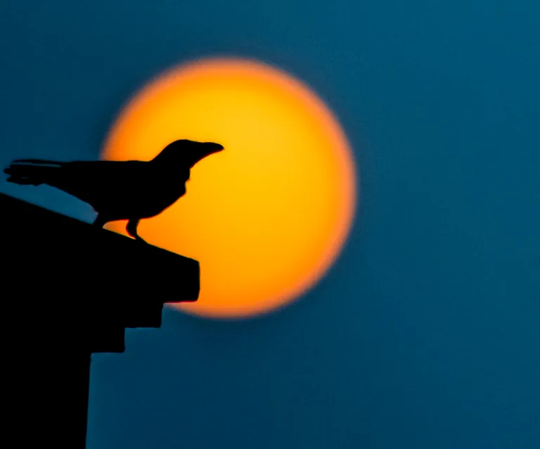Magic20and20the20bird20mind