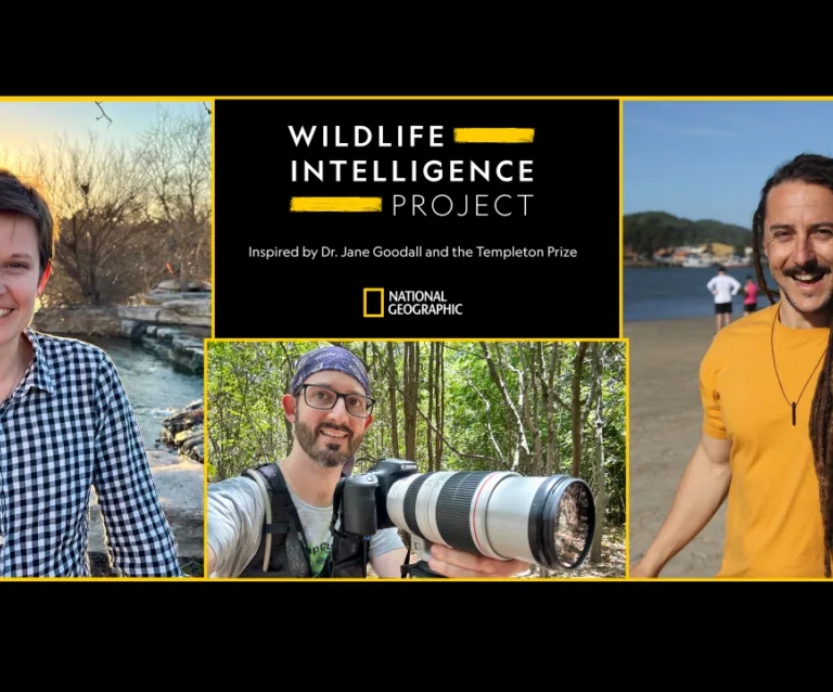 Wildlife Intelligence Header1280