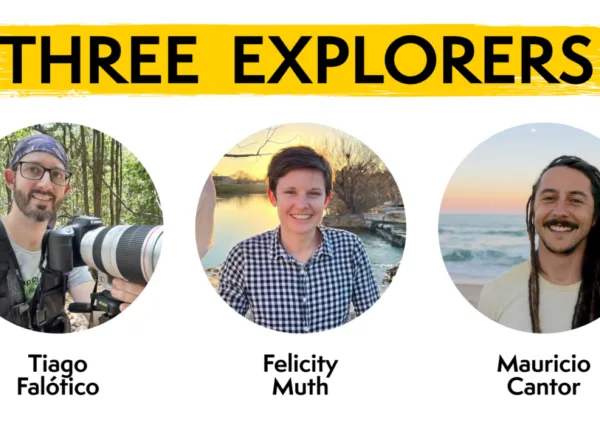 Three Explorers Wildlife Intelligence Project