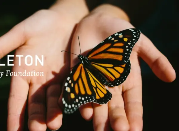 Announcement header