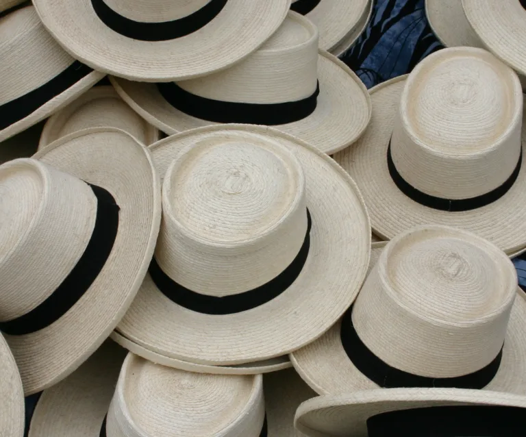 Hat202