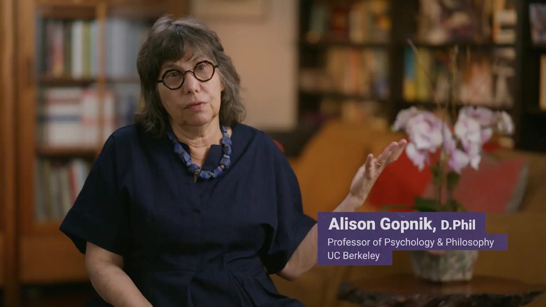 SOI video Caregiving Alison Gopnik D Phil