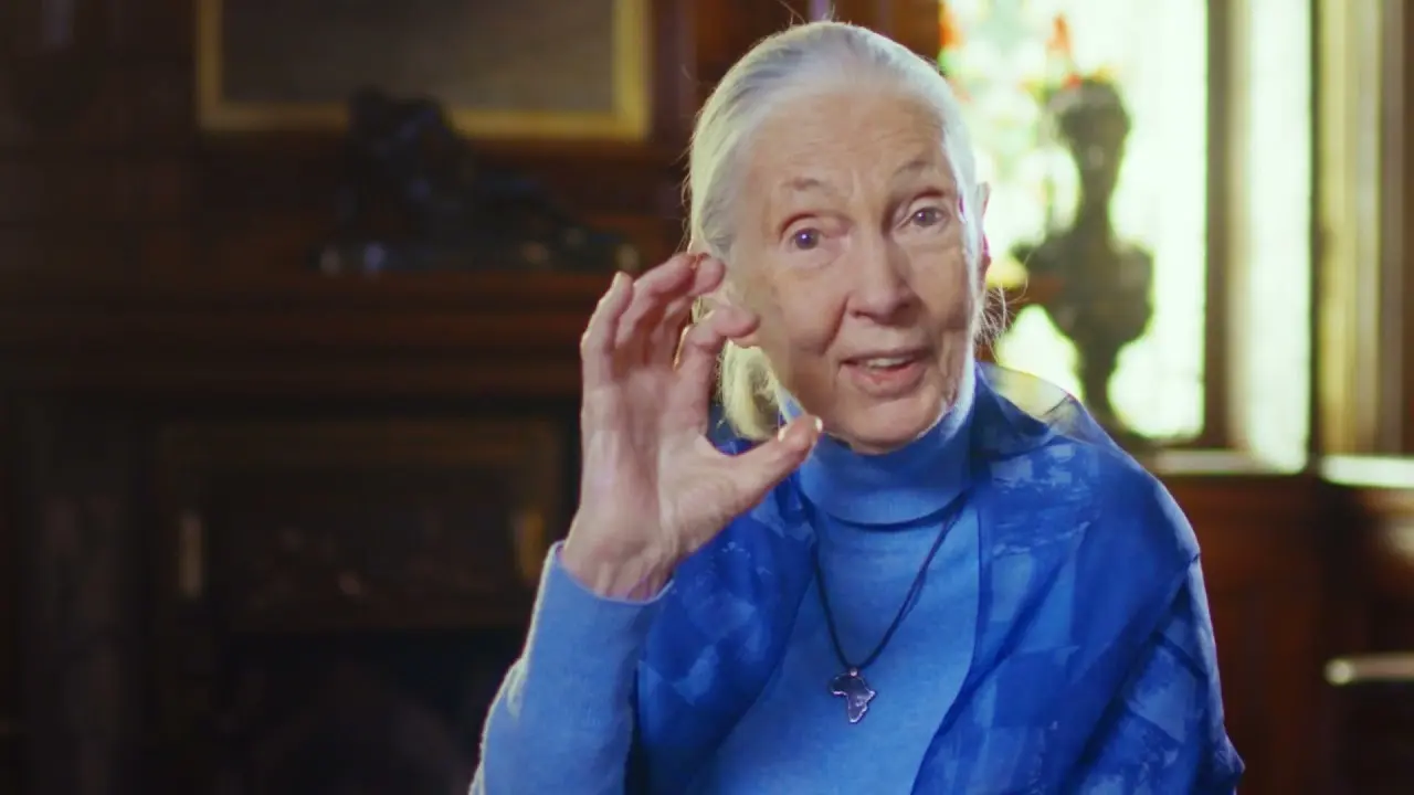 Jane Goodall 2021