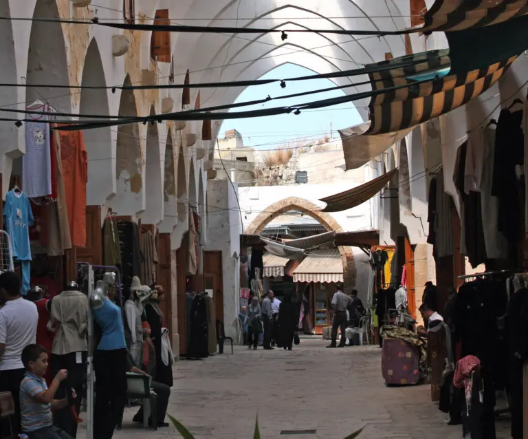 Personality characteristics of entrepreneurs and the socio-economic environment: The case of the MENA region